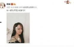 杨紫八卦爆料最新消息,揭秘明星背后的故事